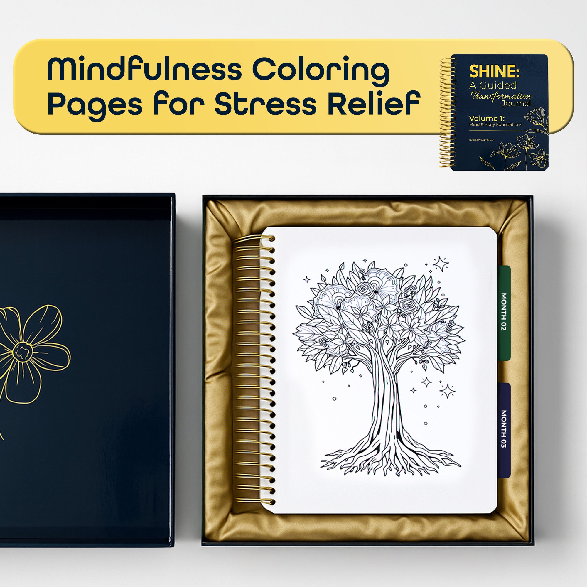 Transformation Journal – Volume 1: 12 Weeks to Self-Awareness, Mindset Mastery & Healthy Habits