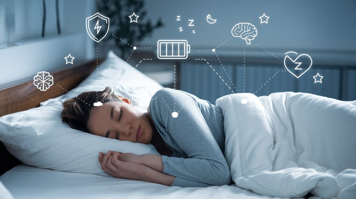 Why You Wake Up Exhausted After 8 Hours of Sleep – The Mental Wellness ...