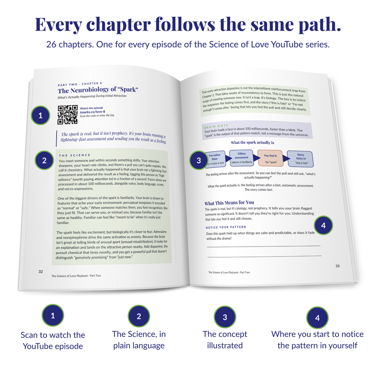 The Science of Love Playbook: A Brain-Based Guide to Deeper Self-Love and Healthier Relationships