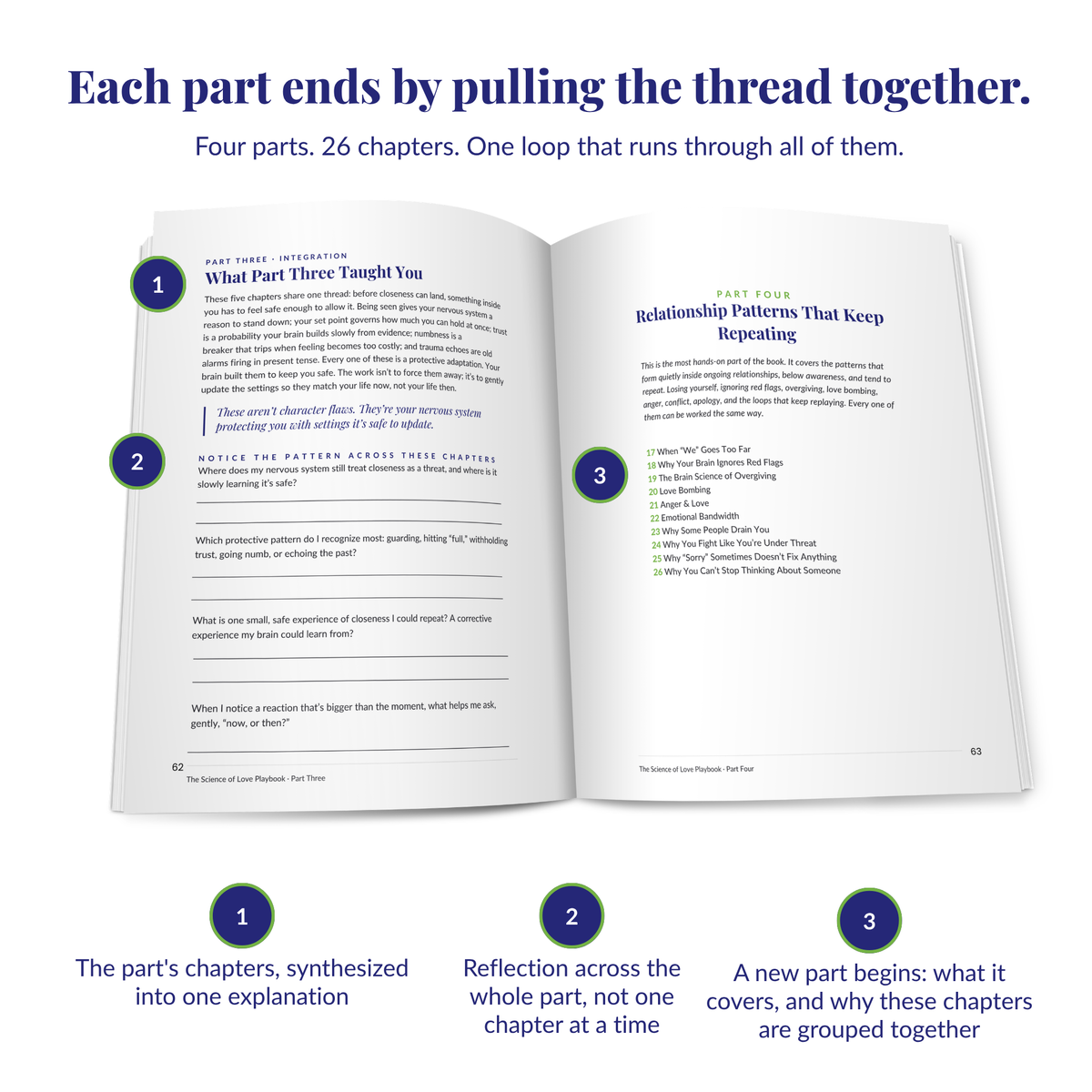 The Science of Love Playbook: A Brain-Based Guide to Deeper Self-Love and Healthier Relationships